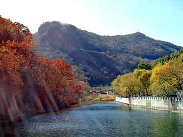 新澳天天开奖资料大全旅游团，让子弹飞一会